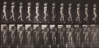 Locomozione animale, tavola 136 da Eadweard Muybridge